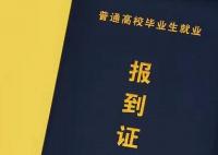 今年起不再发放就业报到证 快来看看具体内容