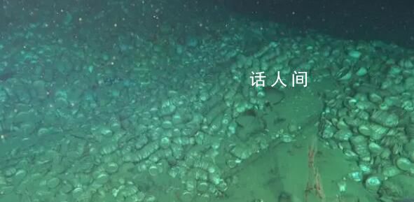 南海发现两处古代沉船 文物超十万件