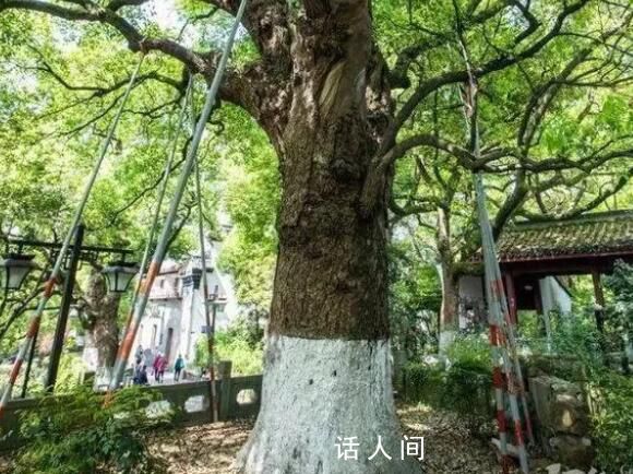 外婆给慈善组织捐了1000万 匿名捐赠深藏功与名只愿物尽其用