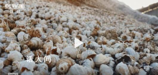 古人吃剩的螺蛳壳堆成一座山 历经千余年