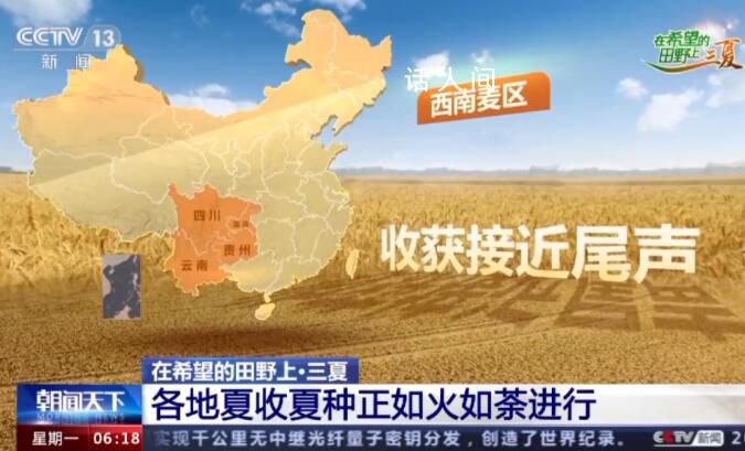 一组数字看中国丰收“速度” 冬小麦的收获正如火如荼