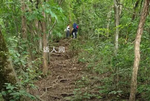 驴友爬山遭雷击:直挺倒下全身麻木