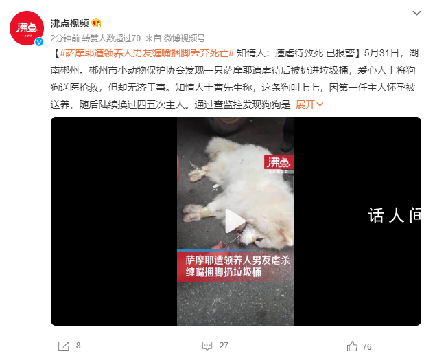 萨摩耶遭领养人男友捆脚丢弃死亡 爱心人士将狗狗送医抢救但却无济于事