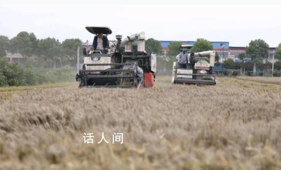 河南多县抢收小麦 人休息机器不休息