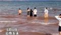 云南抚仙湖发生游客溺亡事件 不听劝导私自下湖游泳