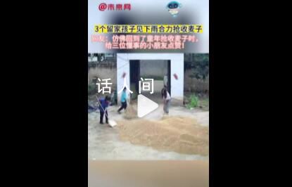 3个留家孩子见下雨合力抢收麦子 给三位懂事的小朋友点赞