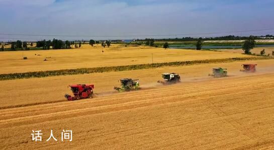 全国“三夏”麦收进度过半 进度53.8%