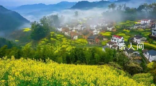 美丽乡村的“只此青绿” 生生不息的文化传承绿水青山的美丽家园
