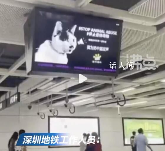 深圳地铁投放反虐动物广告遭投诉 称猫狗一年咬伤4000万人老百姓深受其苦