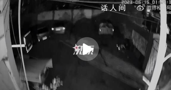 小狗在上海深夜地震前狂叫 上海青浦区发生3.1级地震