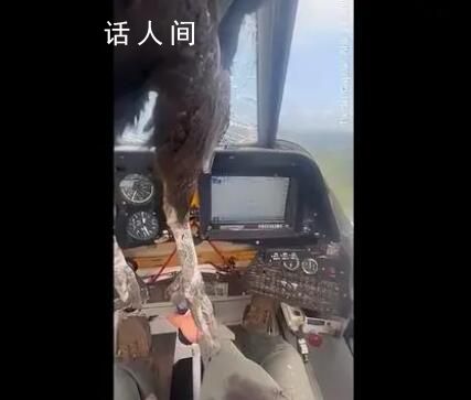 巨鸟撞穿飞机挡风玻璃 残骸嵌入机身 