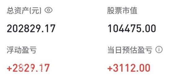 胡锡进:目前实现盈利2829.17元