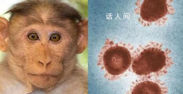 沈阳发现一例猴痘病例 猴痘的传染源是什么