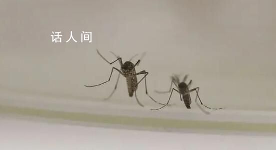 今夏蚊子都热死了?官方回应