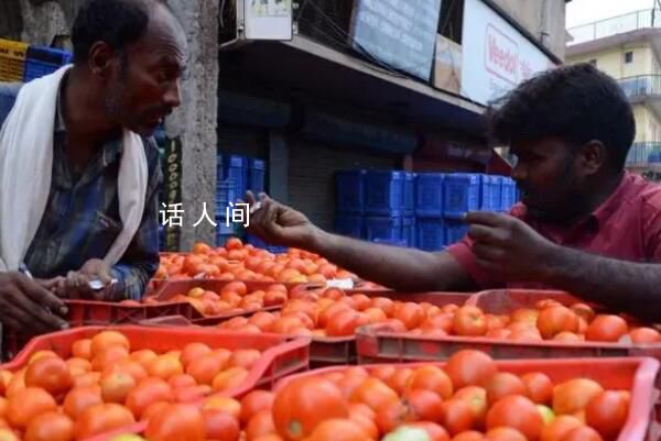 印度爆发“西红柿之乱” 被迫把西红柿踢出自家的菜篮子