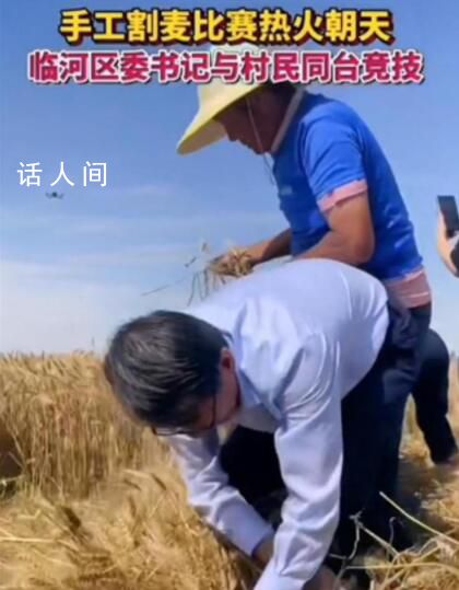 区委书记与村民比赛手工割麦子 其娴熟的手法引来网友称赞
