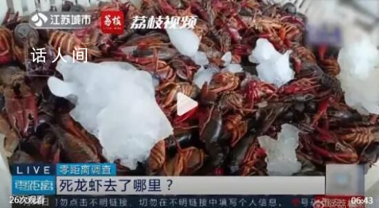 成吨死龙虾疑似被做成虾尾出售 当地市场监管部门仍在进一步调查当中