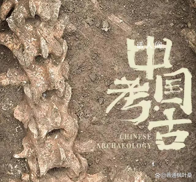 汉文帝霸陵殉葬坑发现大熊猫骨骼 里面埋葬了许多珍禽异兽