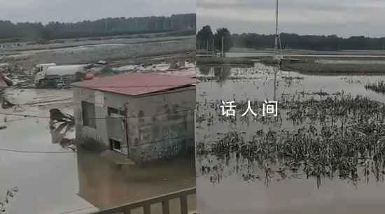 涿州大量庄稼仍泡在水中 平房被淹至屋顶