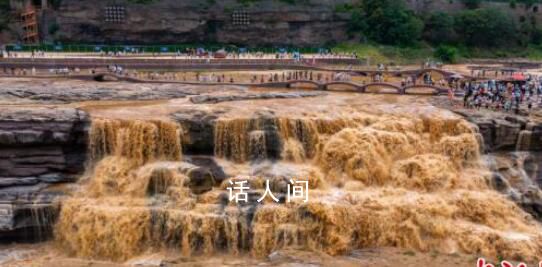 降雨致黄河壶口瀑布现“金瀑飞流”