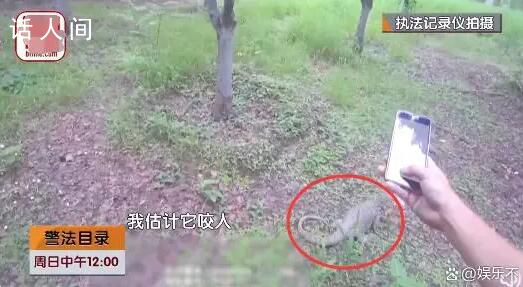 北京大兴出现一只一米长巨型蜥蜴 推断：是被放生的