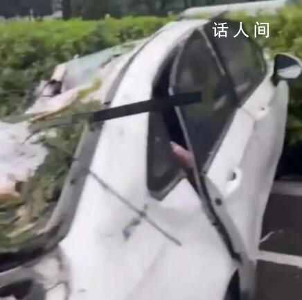 台风吹倒大树砸中汽车致1死2伤 风雨影响仍将持续