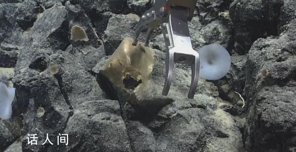 美国科学家在海底发现神秘金蛋 目前它的身份仍未得到确认