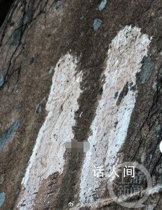 青岛有重要史料价值石刻遭水泥涂抹 后续也将联合多部门对其加强看护
