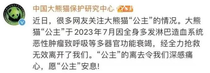 大熊猫“公主”和“融融”已离世 多器官功能衰竭