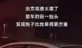 堵在路上狗子晕车晕到怀疑人生 有狗头伸出窗外满脸疲惫的