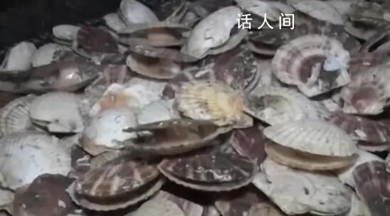 日官员呼吁民众每人多吃5只扇贝 日本网民：扇贝价格太高买不起