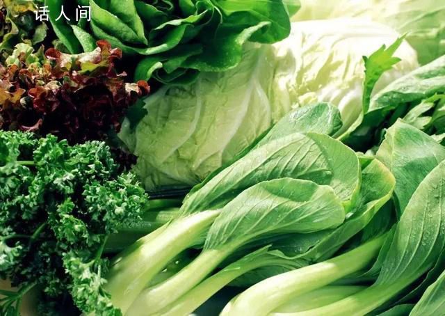叶菜放冰箱24小时会致癌?生的叶菜冰箱能放几天