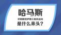 120秒看懂哈马斯的前世今生 哈马斯是什么来头