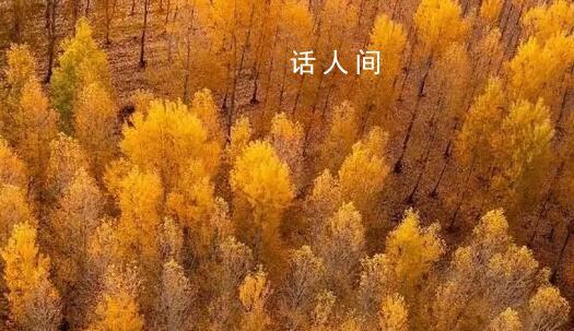 用中国传统色打开秋天 秋天的中国有多惊艳