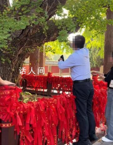 景区回应男子掐掉千年银杏树叶 不允许银杏树是镇县之宝抓到会被罚款