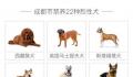 成都回应是否禁养罗威纳犬 正在讨论