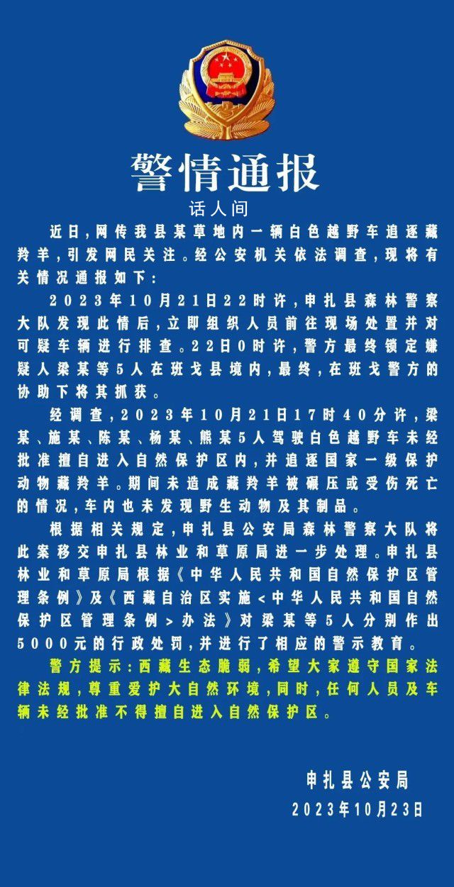 5人擅闯保护区追赶藏羚羊被抓获 5人分别作出5000元的行政处罚