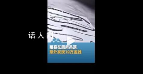 租客在厕所吊顶发现10万金器 这一批金器已移交桐乡市公安局进一步处理