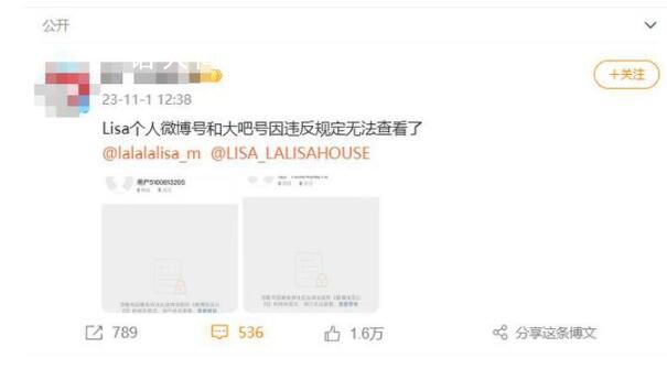 Lisa及其后援会微博账号被封 现已无法查看