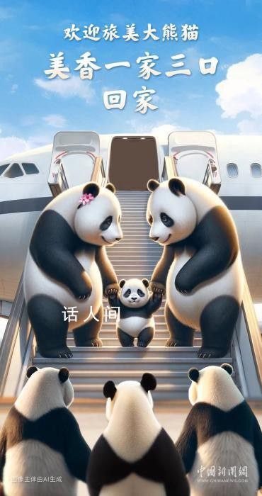旅美大熊猫美香添添小奇迹已回国 抵达四川成都双流国际机场