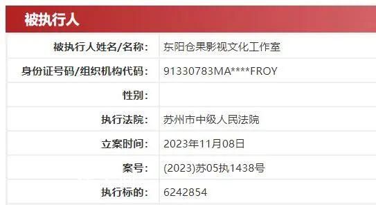 许晴独资工作室被执行624万 涉及合同纠纷案件