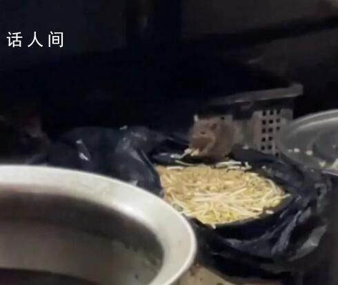 重庆火锅店后厨老鼠吃豆芽 官方通报