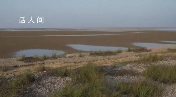 鄱阳湖已不足1000平方公里 鄱阳湖通江水体面积缩小为893平方公里