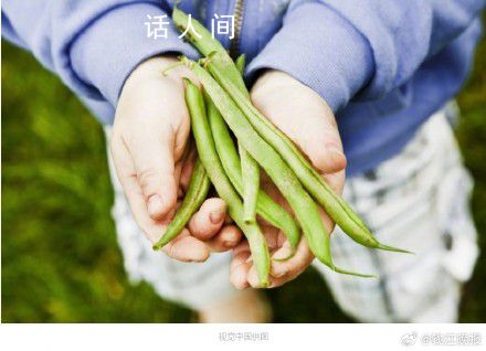 17岁女孩吃下半斤生豆角中毒 豆角可以吃却要这样吃