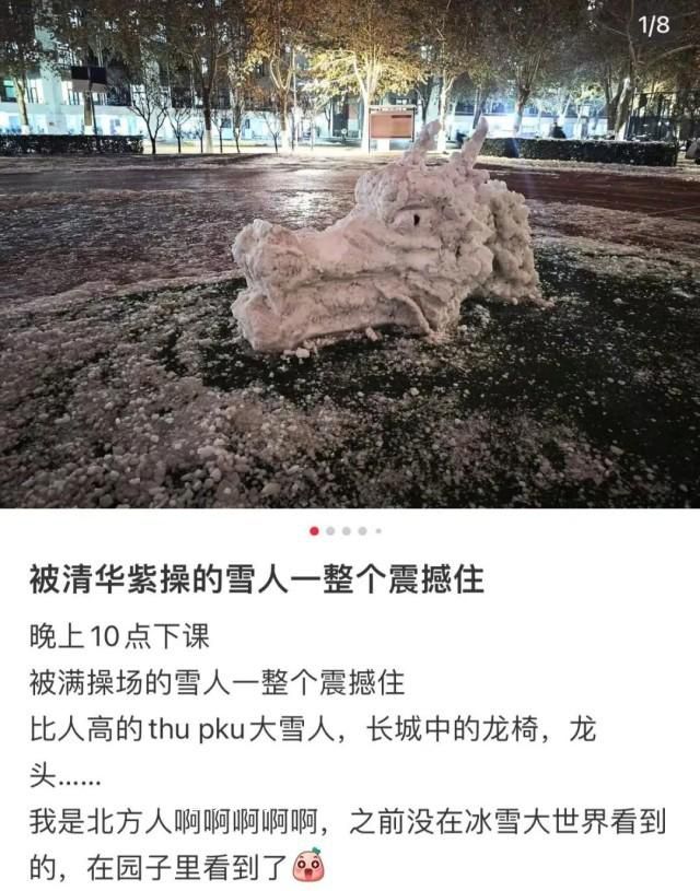 第一批堆雪人的已经卷起来了