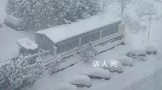 山东威海暴雪积雪厚度惊呆网友 全山东的雪都下到威海去了