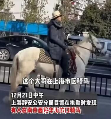 男子骑马进入上海被行政处罚 影响现场秩序和车辆通行