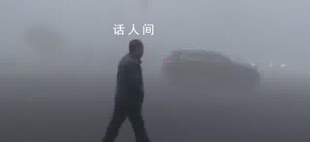 上海郊区的雾大到可拍西游记 许多网友用幽默的方式来描述这场大雾