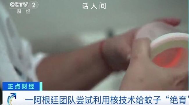 阿根廷用辐射给蚊子做绝育 蚊子灭绝可能会面临哪些问题