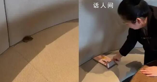 男子遇老鼠霸座 店员:没老鼠不可能